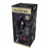 Серебристая анальная втулка Mini Metal Butt Plug Size M с красным кристаллом - Adrien Lastic в Симферополе Серебристая анальная втулка Mini Metal Butt Plug Size M с красным кристаллом - Adrien Lastic