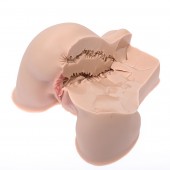 Мастурбатор-полуторс Naked Factory Kate - Naked Factory - в Симферополе купить с доставкой