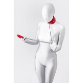 Красный ошейник с подкладкой из меха - ToyFa - купить с доставкой в Симферополе