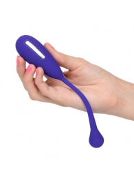 Фиолетовый шарик с электростимуляцией и вибрацией Intimate E-Stimulator Remote Kegel Exerciser - California Exotic Novelties - купить с доставкой в Симферополе