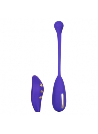 Фиолетовый шарик с электростимуляцией и вибрацией Intimate E-Stimulator Remote Kegel Exerciser - California Exotic Novelties - купить с доставкой в Симферополе