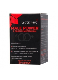 Капсулы для мужчин Erotichard male power с пантогематогеном - 20 капсул (0,370 гр.) - Erotic Hard - купить с доставкой в Симферополе