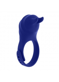Синее эрекционное виброкольцо с клиторальной подушечкой и пультом ДУ Adjustable Fun Ring - Zero Tolerance - в Симферополе купить с доставкой