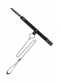 Черный узкий однослойный ошейник с серебристым поводком-цепочкой - Pecado - купить с доставкой в Симферополе