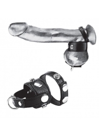 Утяжка для мошонки и пениса Cock Ring With 1  Ball Stretcher And Optional Weight Ring - BlueLine - купить с доставкой в Симферополе