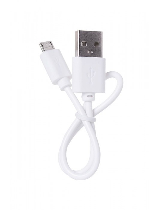 Портативное зарядное устройство A-toys 2400 mAh microUSB - A-toys - купить с доставкой в Симферополе