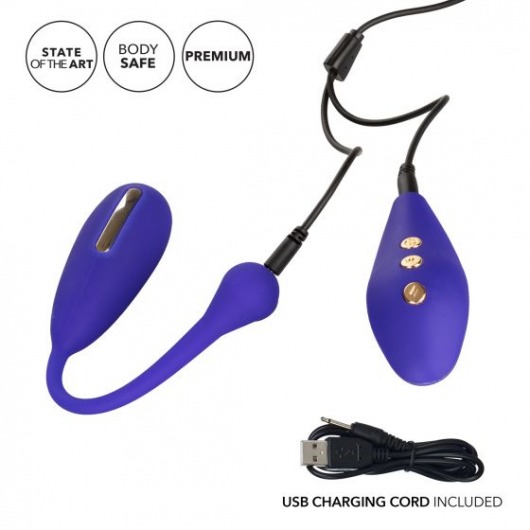 Фиолетовый шарик с электростимуляцией и вибрацией Intimate E-Stimulator Remote Kegel Exerciser - California Exotic Novelties - купить с доставкой в Симферополе