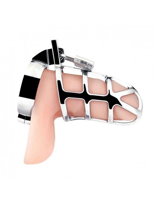 Серебристая металлическая клетка для члена с замком Enslave Cock Cage - BlueLine - купить с доставкой в Симферополе