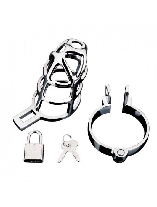 Серебристая металлическая клетка для члена с замком Enslave Cock Cage - BlueLine - купить с доставкой в Симферополе