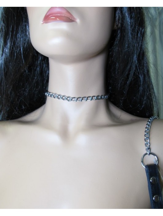 Металлический поводок с кожаной ручкой - БДСМ Арсенал - купить с доставкой в Симферополе