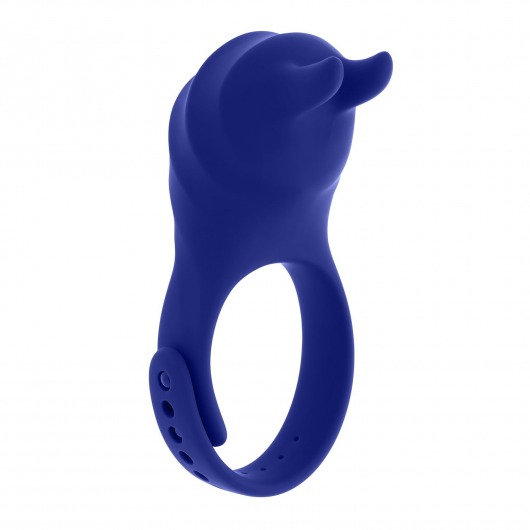 Синее эрекционное виброкольцо с клиторальной подушечкой и пультом ДУ Adjustable Fun Ring - Zero Tolerance - в Симферополе купить с доставкой