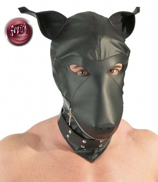 Шлем-маска Dog Mask в виде морды собаки - Orion - купить с доставкой в Симферополе