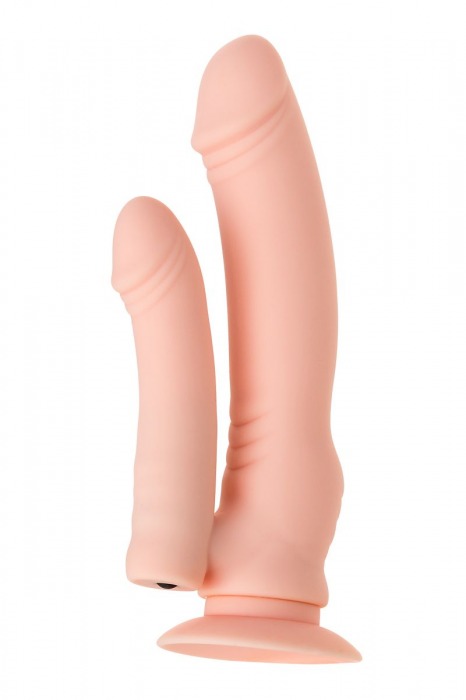 Двойной фаллоимитатор с присоской и съемной вибропулей - 19 см. - A-toys купить в Симферополе с доставкой в Orgasmix.ru Двойной фаллоимитатор с присоской и съемной вибропулей - 19 см. - A-toys