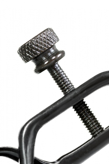 Черно-золотистые зажимы для сосков TOYFA Theatre - ToyFa - купить с доставкой в Симферополе