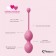 Набор из 3 розовых вагинальных шариков FemmeFit Advanced Pelvic Muscle Training Set - FeelzToys в Симферополе Набор из 3 розовых вагинальных шариков FemmeFit Advanced Pelvic Muscle Training Set - FeelzToys